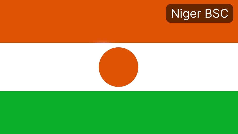 Niger BSC