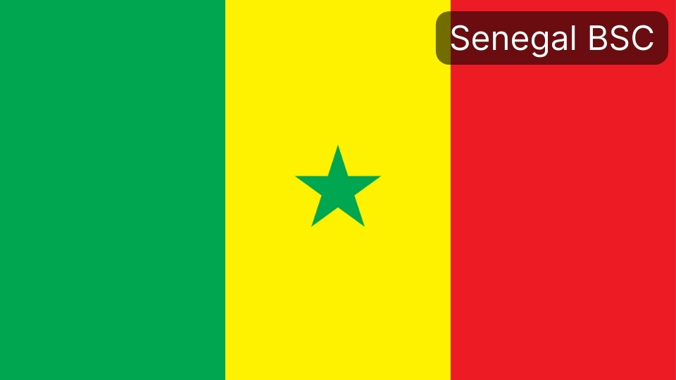 Senegal: BSC Cargo Tracking Note
