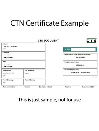 What is CTN?